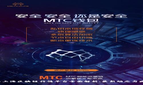 《2023年上海区块链行情平台全面解析：最新动态与发展趋势》