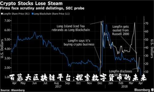 百慕大区块链平台：探索数字货币的未来
